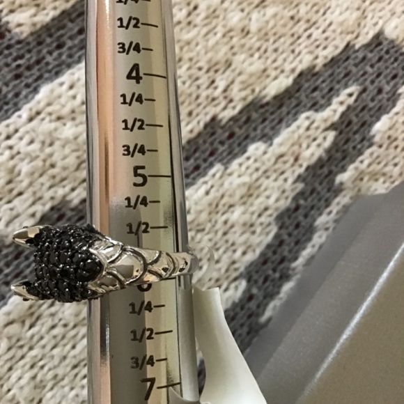 Ring Dragon - Picture 11 of 13